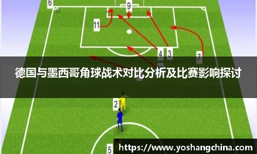 365WM完美体育官方app