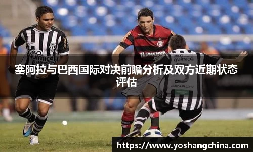 365WM完美体育官方app