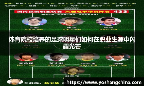 365WM完美体育官方app