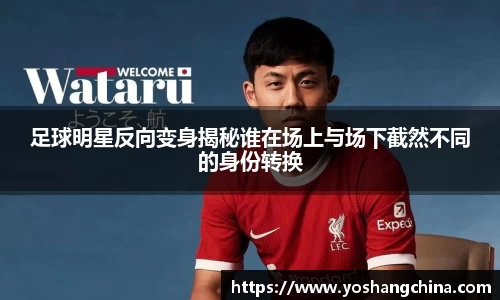 365WM完美体育官方app